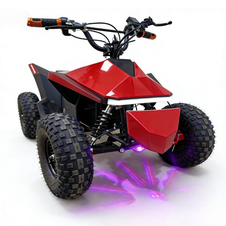 전동 오프로드 4륜 키즈 버기, 비치 카트, 플라자,  - Kids Toys Rental 리뷰 및 가격
