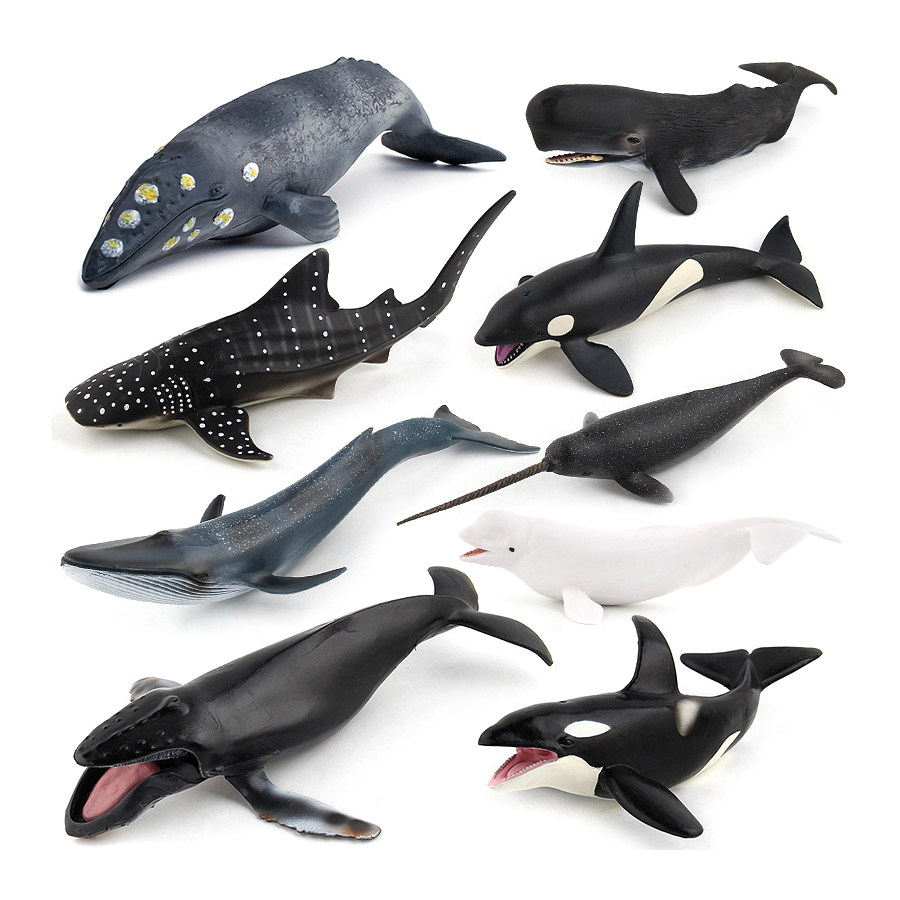 현실적인 혹등고래, 스파머고래, 일각고래, 킬러고래,  - Kids Toys China 리뷰 및 가격