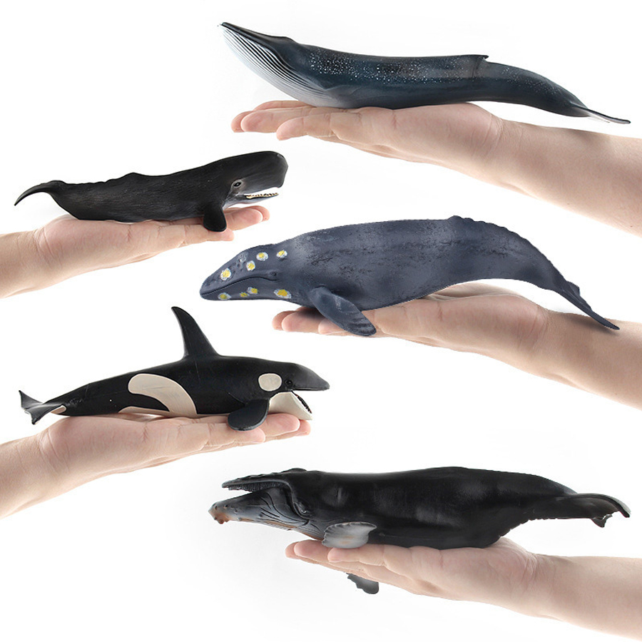 현실적인 혹등고래, 스파머고래, 일각고래, 킬러고래,  - Kids Toys China 리뷰 및 가격